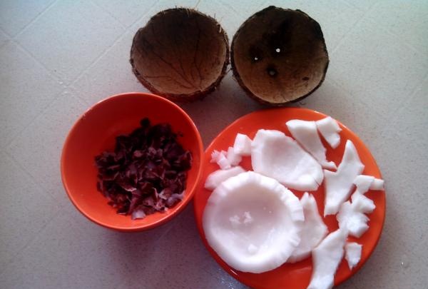 kokosová dužina