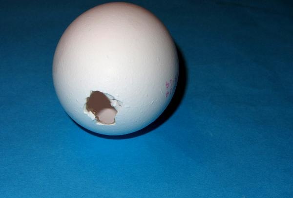 Decoração de ovo de páscoa