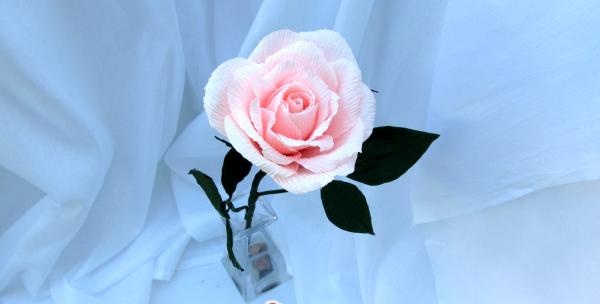Hoa hồng giấy gợn sóng