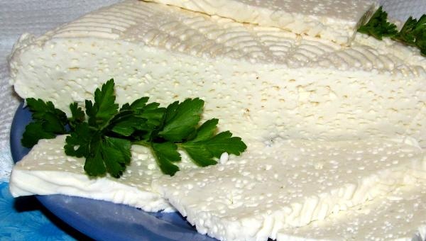 Homemade cheese cheese