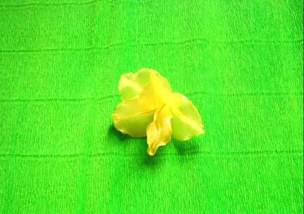 Klebe ein gelbes Blütenblatt auf