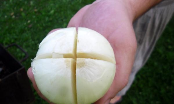 cut the onion