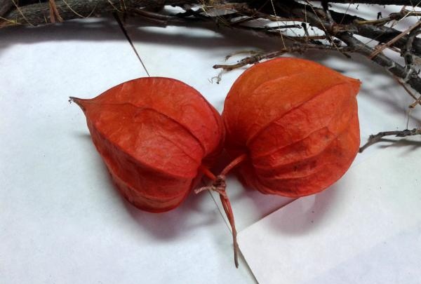 Decorative autumn wreath