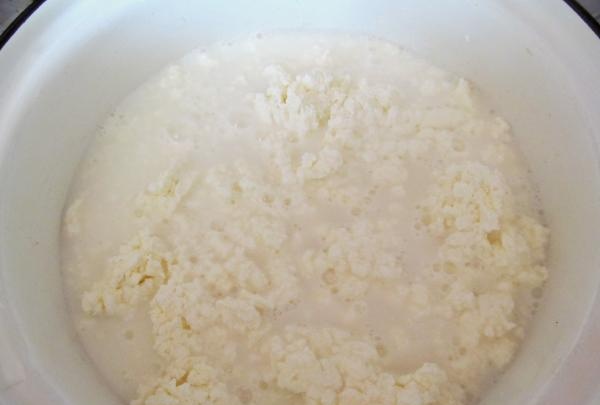 knust cottage cheese