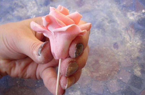 bunga ros mastic