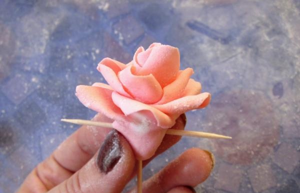 róża mastyksowa