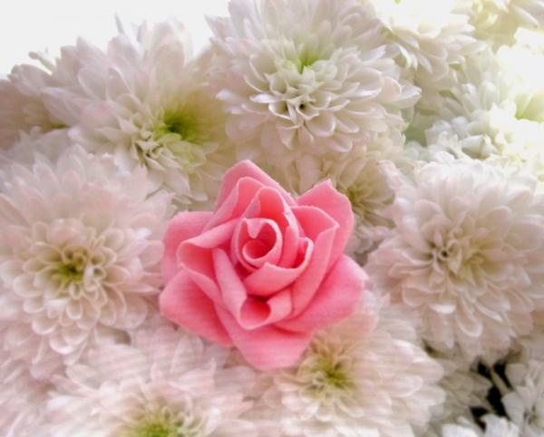 bunga ros mastic