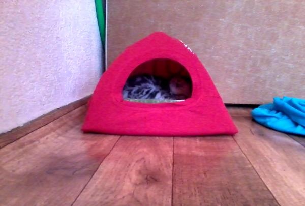 خيمة منزلية للحيوانات الأليفة
