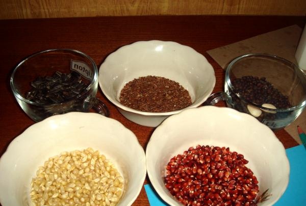 Auswahl an Samen und Körnern