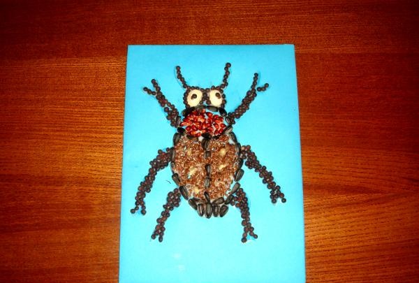 Kumbang dari bijirin dan biji