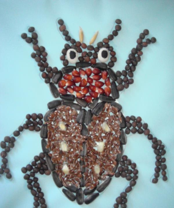Käfer aus Körnern und Samen