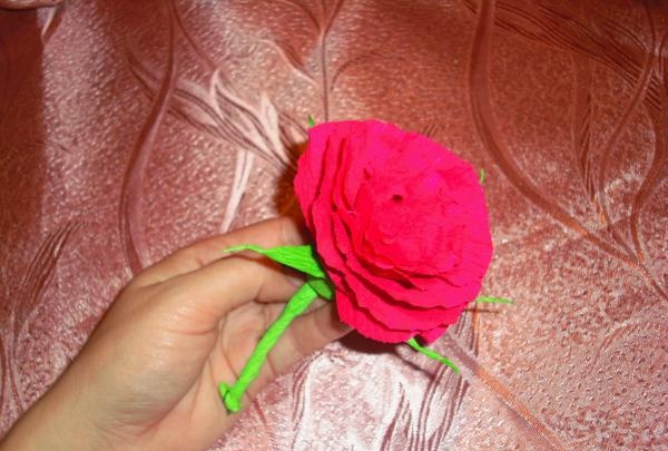 Sulīga roze no gofrēta papīra