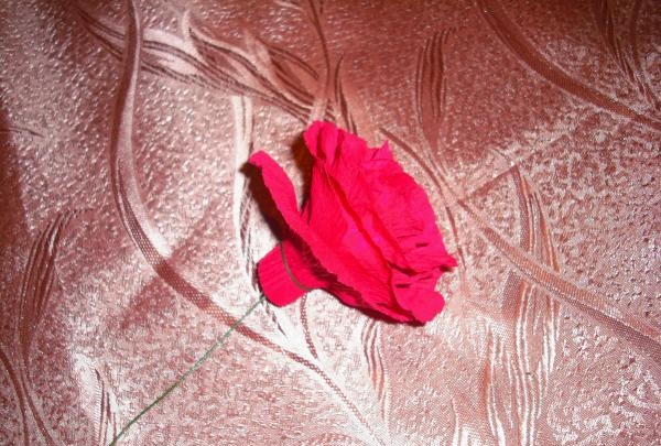 Bujna róża wykonana z tektury falistej