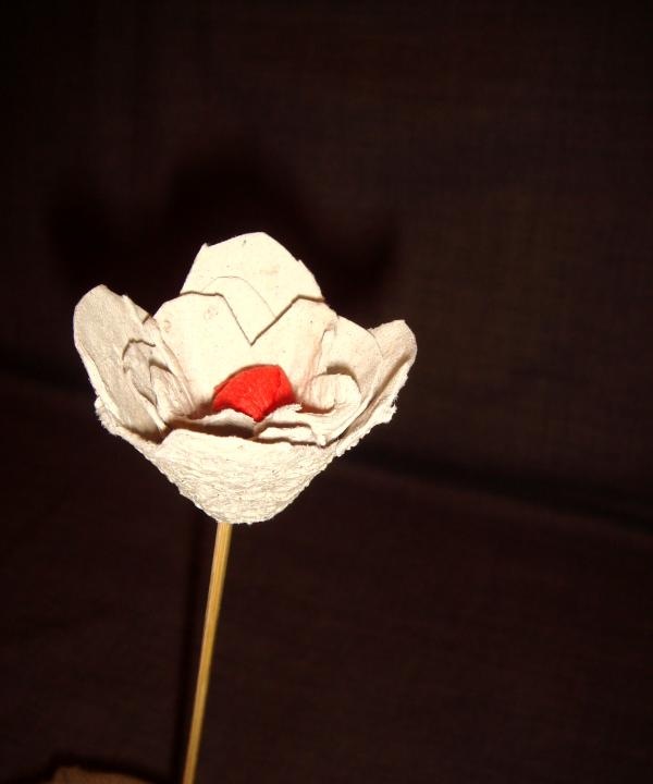 Rózsa egy papír tojástartóból