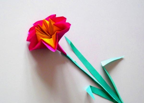 colored paper carnation