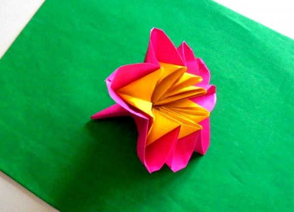 carnation kertas berwarna