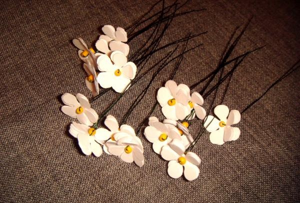 Mini bouquet ng daisies