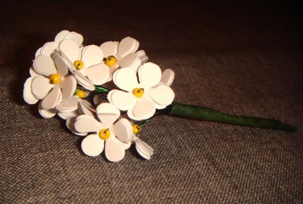 Mini bouquet ng daisies