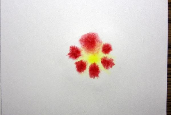 Flors d'aquarel·la