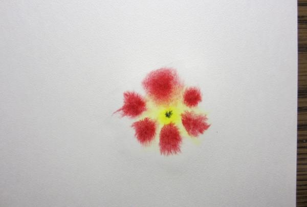 Flors d'aquarel·la