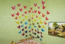 Renkli kelebekler