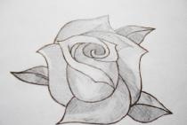 Een roos tekenen