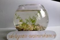 Akvárium vázában