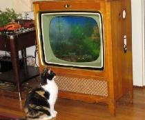Sa starog televizora