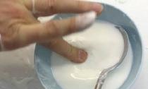 Fluid non-newtonian