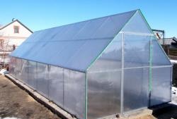 Greenhouse with a homemade frame
