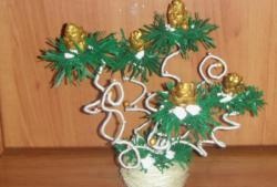 Topiary with pine cones