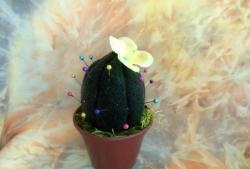 Kaktus piankowy - poduszka na szpilki