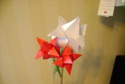 Tulipes en papier
