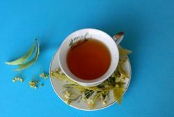 About the benefits of linden tea
