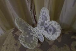 Pinong butterfly para sa dekorasyon