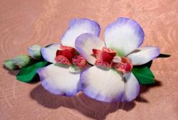 Az „Orchidea” bilincs mesterosztálya