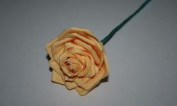 Trandafir de hârtie