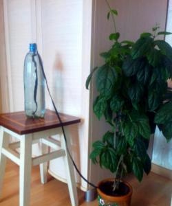 Penyiraman automatik bunga rumah