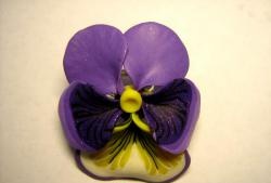 Flower "Pansy"