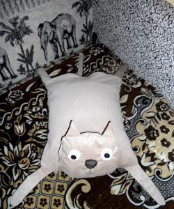 poduszka dla kota