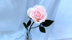 Roses de paper ondulat