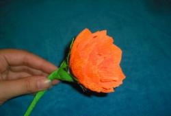 Gofruoto popieriaus lotoso gėlė