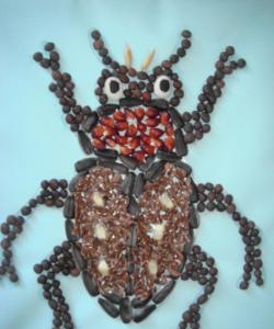 Beetle from grains and seeds
