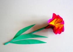 Carnation made of colored paper