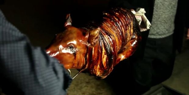 Cómo asar un cerdo entero en un asador
