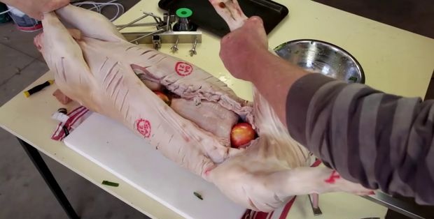 Cách nướng nguyên con lợn trên xiên