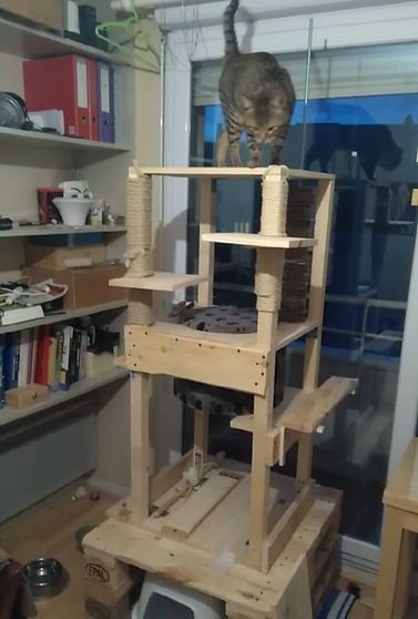 Vrlo visoka i izdržljiva kućica za mačke