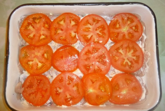 פילה עוף עם עגבניות וגבינה