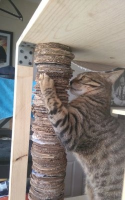 Karton na scratching post