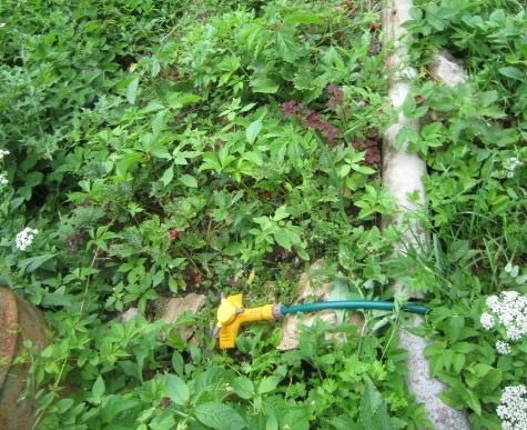 Simple automatic watering system